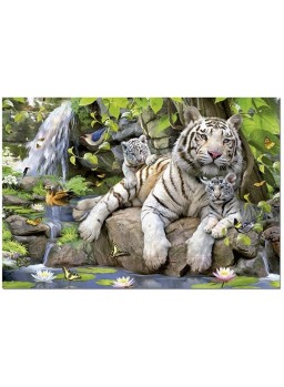 Puzzle 1000 piezas Tigres Blancos de Bengala