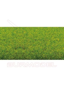 Tapiz de hierba primavera plancha 120x60cm