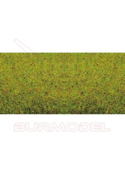 Tapiz de hierba verano plancha 120x60cm