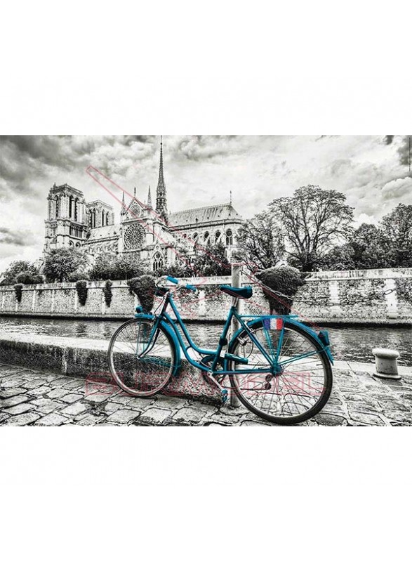 Bicicleta cerca de Notre Dame